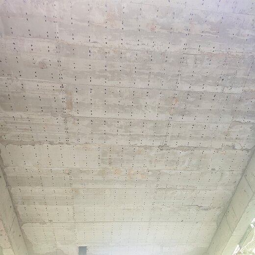 上海耐腐蝕德納免拆模板廠家批發,鋼筋桁架樓承板